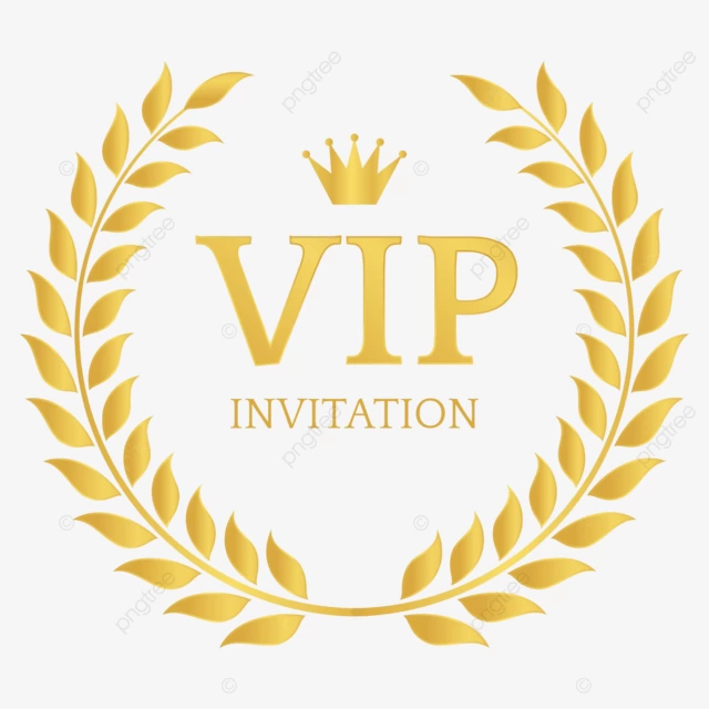 Review Aplikasi vipinvitation
